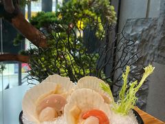 扇贝-湊湊火锅·茶憩(东城万达店)