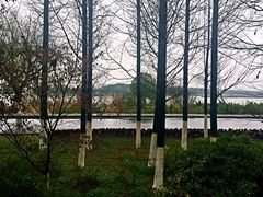 -太阳岛度假酒店