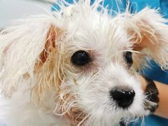 -天津前进宠物医院(前进道店)