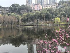 -重庆彩云湖湿地公园