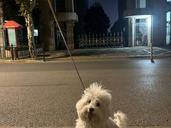 -上海市敬业中学