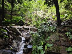-火炉山森林公园