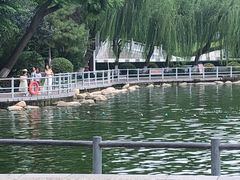 -莲湖公园