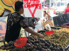 -罗汉果龙眼冰糖燉冬瓜