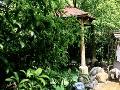 -张家港金凤凰度假村温泉