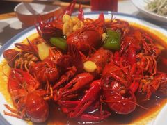 -杨氏青龙虾·羊蝎子(托乐嘉店)