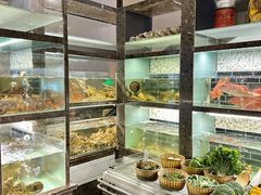 -甄御•海鲜新青岛菜(麦岛店)