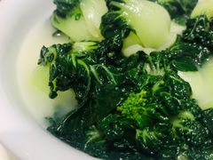 上汤浸白菜苗-东海海鲜酒家(中信广场店)