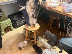 -觅时光手作·香薰·拼豆豆·陶艺DIY