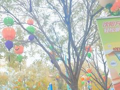 -沈阳方特欢乐世界