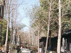 -西安大兴善寺