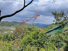 -海南槟榔谷黎苗文化旅游区