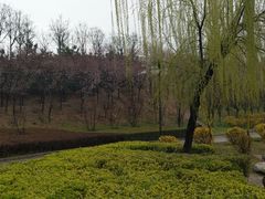 -西安青龙寺遗址景区