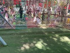 -草根堂农场