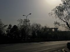 -灞河西岸滨河公园