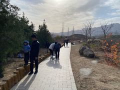 -白水寺森林公园