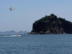 -棒棰岛宾馆景区