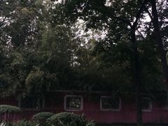 景点-望江楼公园