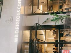 -野鸽子咖啡(中航店)