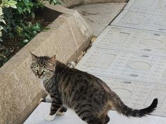 -常州购物中心(天宁区)
