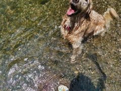 -华蓥山天意谷景区