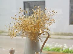 -灯塔咖啡馆BOOK·Coffee Shop