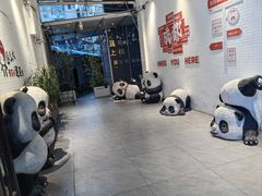 -国宝熊猫酒店(春熙路天府广场店)