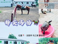 -沈阳静安马场