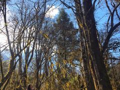 景点-燕子沟风景区