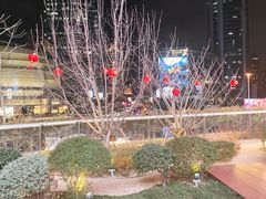-美罗城
