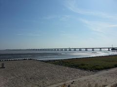 android_upload_pic-南汇嘴观海公园