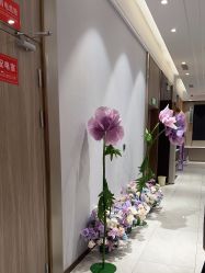 -云南吴氏嘉美医疗美容医院