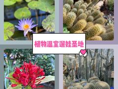 -国家植物园南园