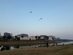 -春花秋色城市公园