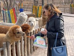 -水上乐园·欢乐世界