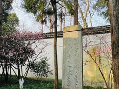 -岳王庙