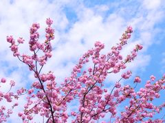-白塘生态植物园
