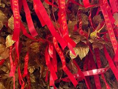 -狼山风景名胜区