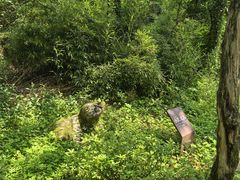 -山王坪喀斯特国家生态公园