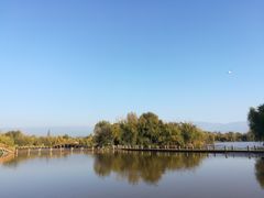-西昌邛海湿地