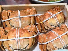 -黄记大闸蟹专卖店·活蟹·醉蟹