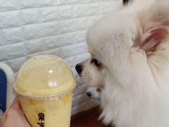 -果呀呀(凯德广场店)