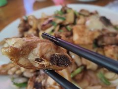 姜葱炒土鸡-黄家菜园农庄