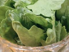 -春记潮汕牛肉火锅