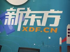 -新东方素质(金源校区)