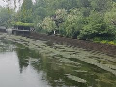 -环城公园