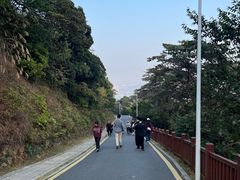 -黄埔油麻山森林公园