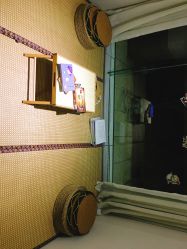 -榕树上·瑜伽普拉提