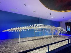 -福州罗源湾海洋世界旅游区