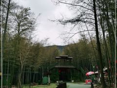 -陶祖圣境风景区